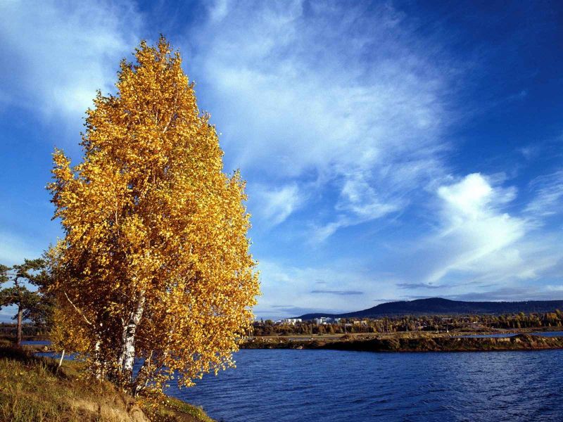 siberia dmfull18.jpg
